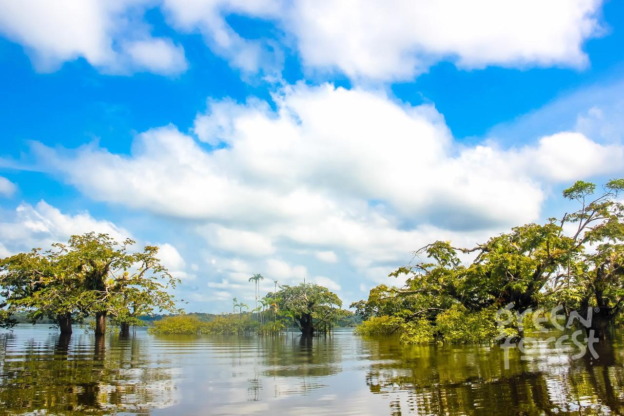 Green Forest Ecolodge Puerto Montufar ภายนอก รูปภาพ