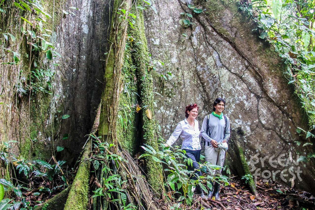 Green Forest Ecolodge Puerto Montufar ภายนอก รูปภาพ