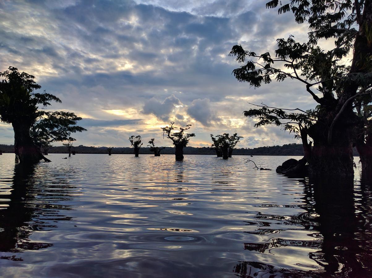 Green Forest Ecolodge Puerto Montufar ภายนอก รูปภาพ