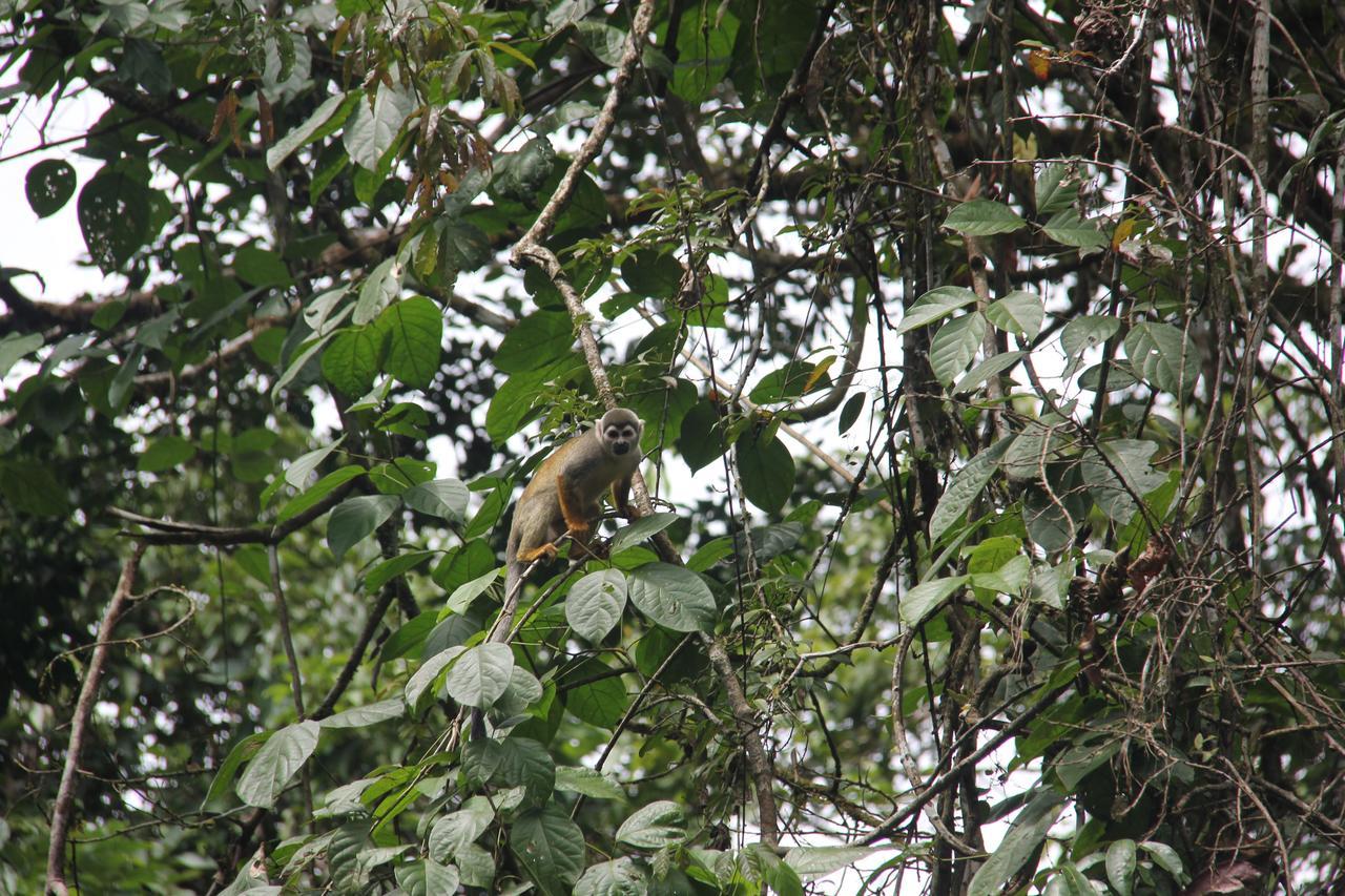 Green Forest Ecolodge Puerto Montufar ภายนอก รูปภาพ